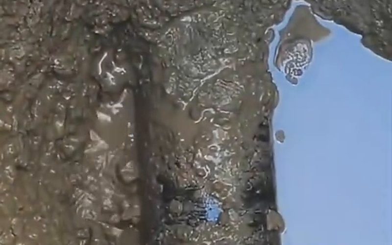 杭州漏水检测杭州西湖区某老建筑墙内暗管漏水检测