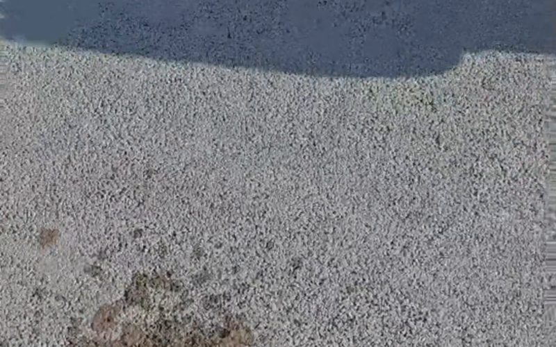 镇江漏水检测报价不一样为什么?