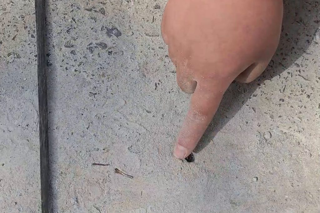 管道漏水检测郑州写字楼喷淋系统频繁补水，可能是管网在悄悄掉压