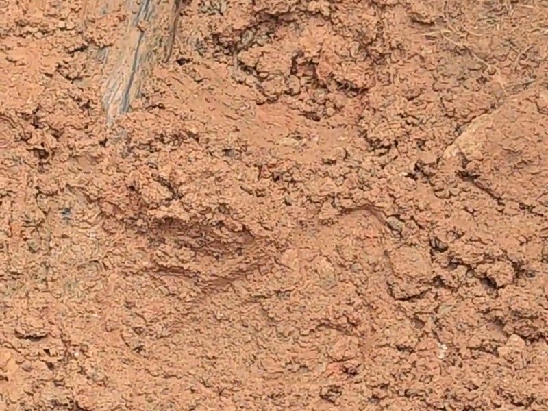 郑州水费突然变高是漏水吗?5 步自查法